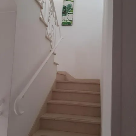 Sonho De Ferias